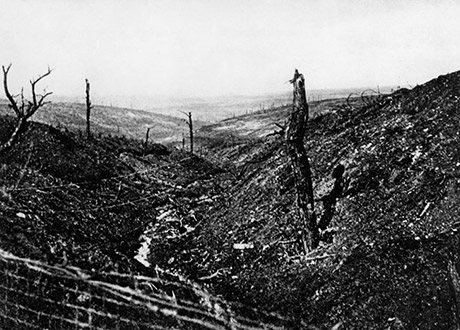 Verwüstete Landschaft bei Verdun